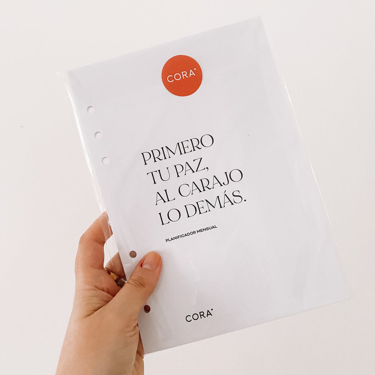 Repuesto Planner Flexible - Mensual